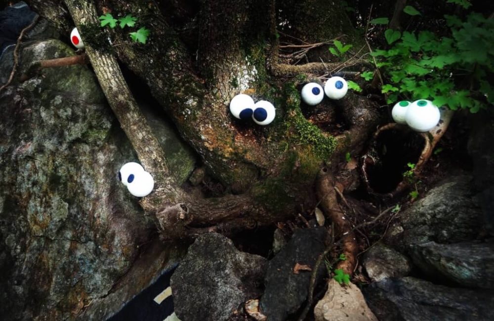 famiglia_sbadiglio (1)